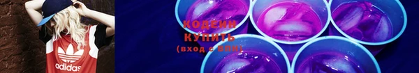 мдпв Невельск