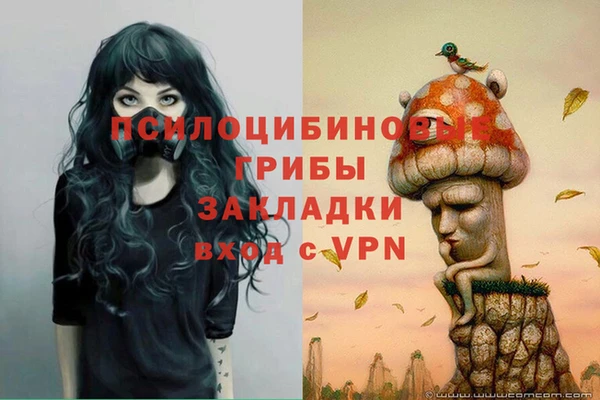 2c-b Пересвет
