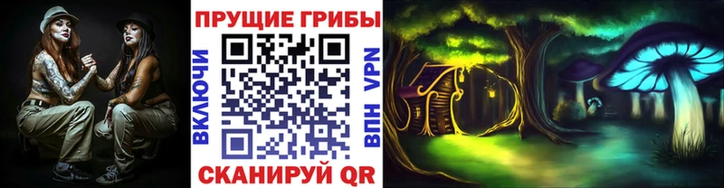 Псилоцибиновые грибы GOLDEN TEACHER  Москва 