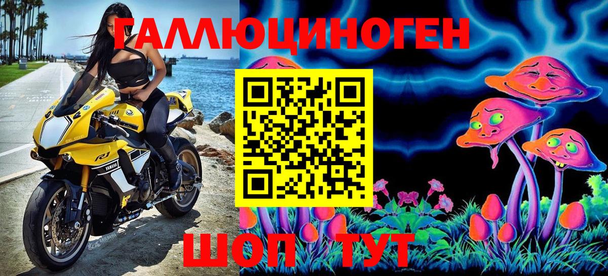 Галлюциногенные грибы Magic Shrooms Москва